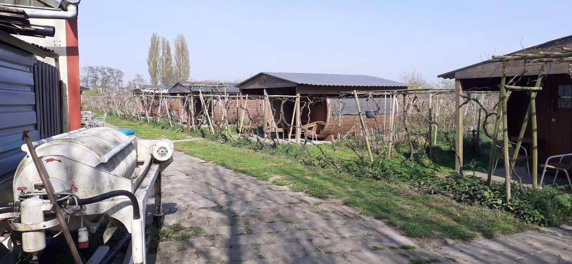 Wijndomein De Vier Ambachten -Overnachten In De Wijngaard Simonshaven Exterior photo